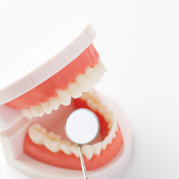 インプラント・再生、歯周組織再生療法